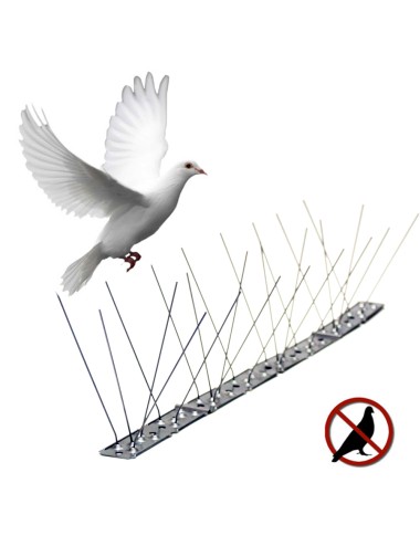 Varilla disuasoria para aves, anti palomas, acero inoxidable 100 x 2,5 x 11 cm