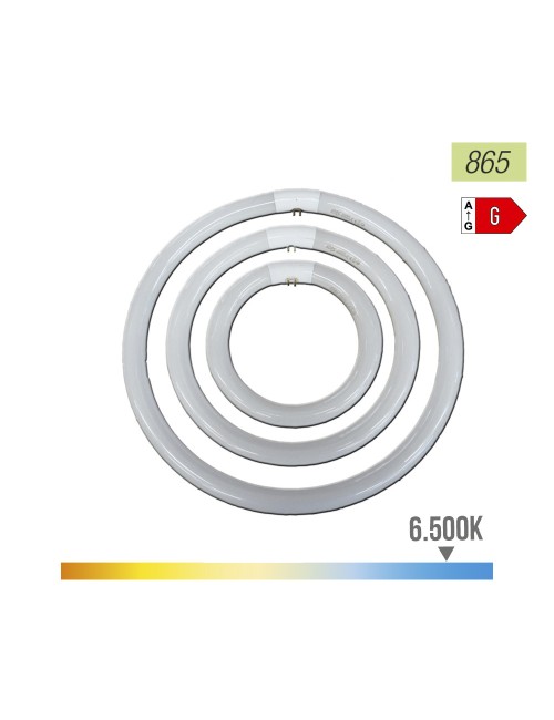 Tubo fluorescente circular trifosforo 22w 6500 k luz fria ø21 cm