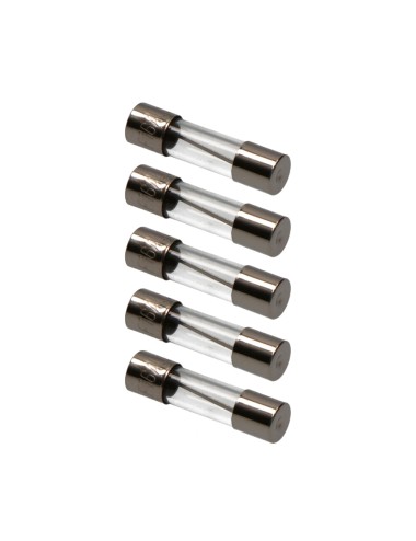 Fusible 5 x 20 mm 16 a, envasado 5 uds