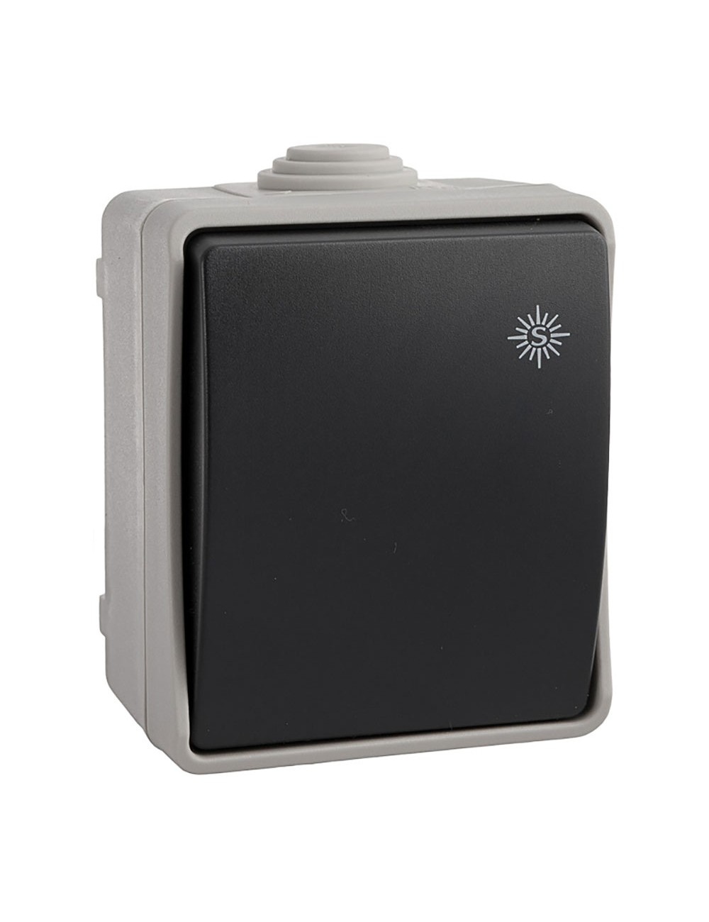 Interruptor estanco ip44 16 a 250 v