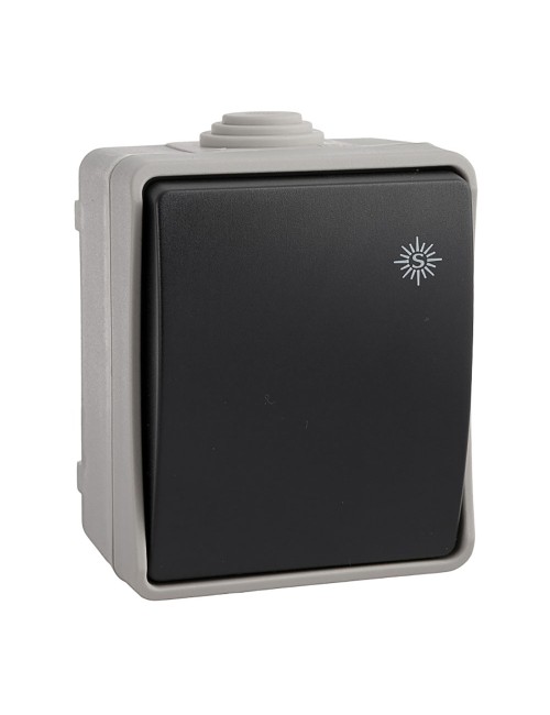 Interruptor estanco ip44 16 a 250 v