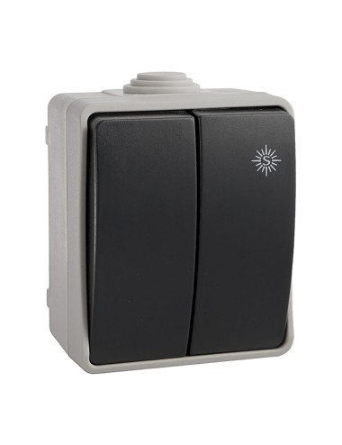 Doble conmutador estanco 10 ax 250v~. ip54