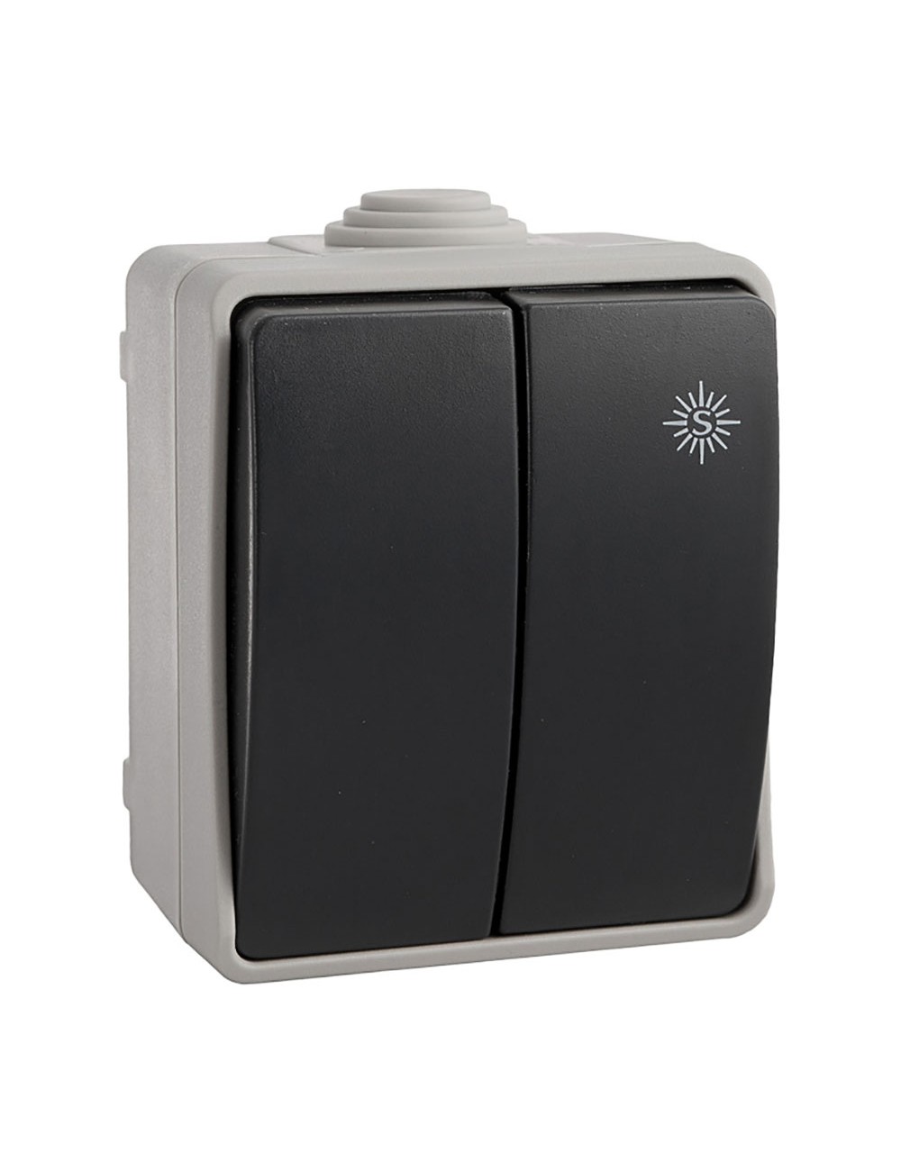 Doble conmutador estanco 10 ax 250v~. ip54