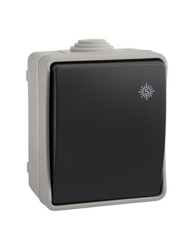 Conmutador/interruptor estanco 10 ax 250 v~ip54