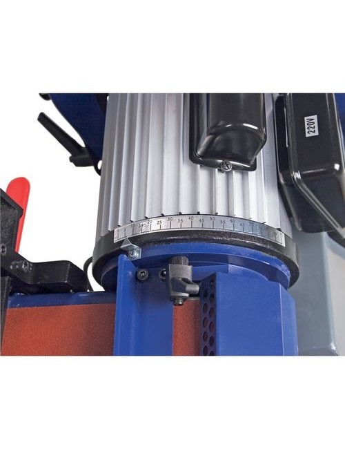 Lijadora con Brazo Inclinable BTS 200