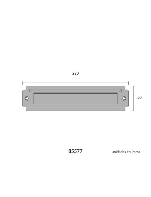 Placa de cartas para puerta de latón pulido 21,5 x 5 cm