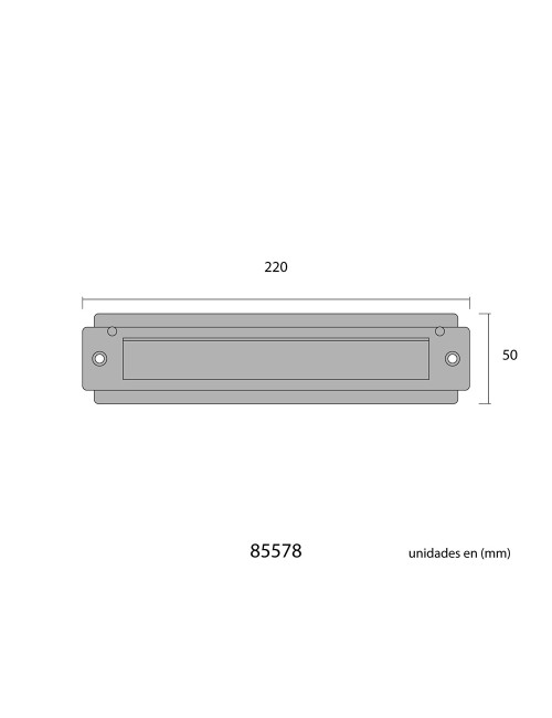 Placa de cartas para puerta de acero inoxidable 21,5 x 5 cm