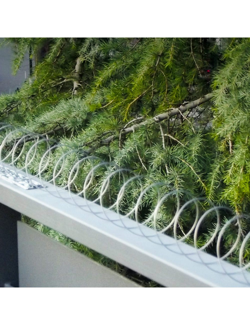 Disuasorio espiral para aves. ideal para balcones. acero inoxidable 5m