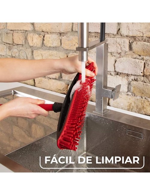 Cepillo escoba always clean pet pro