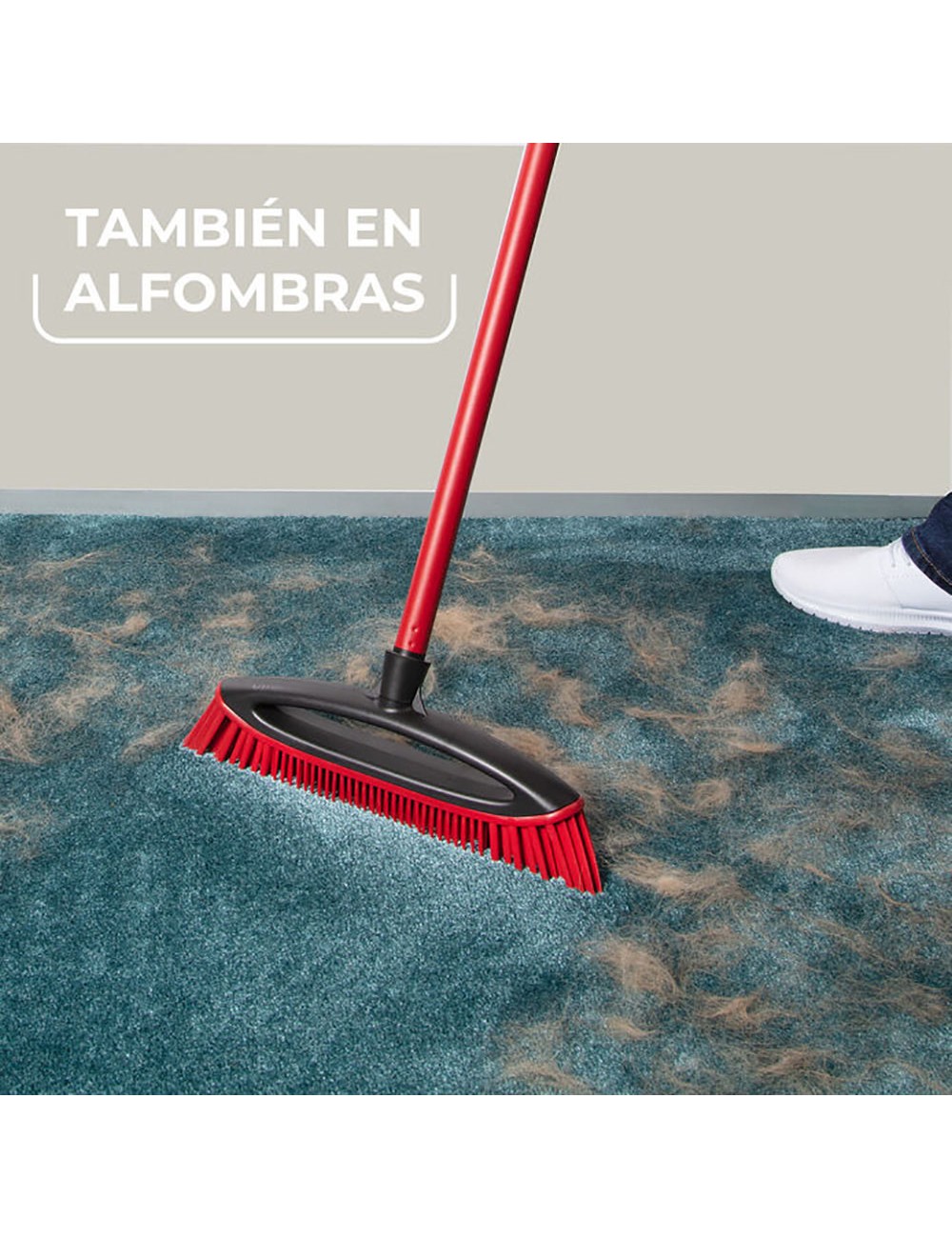 Cepillo escoba always clean pet pro