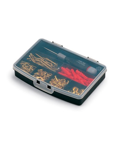Organizador de compartimento con tapa 7 divisiones fijas 17,5 x 12,2 x 3 cm