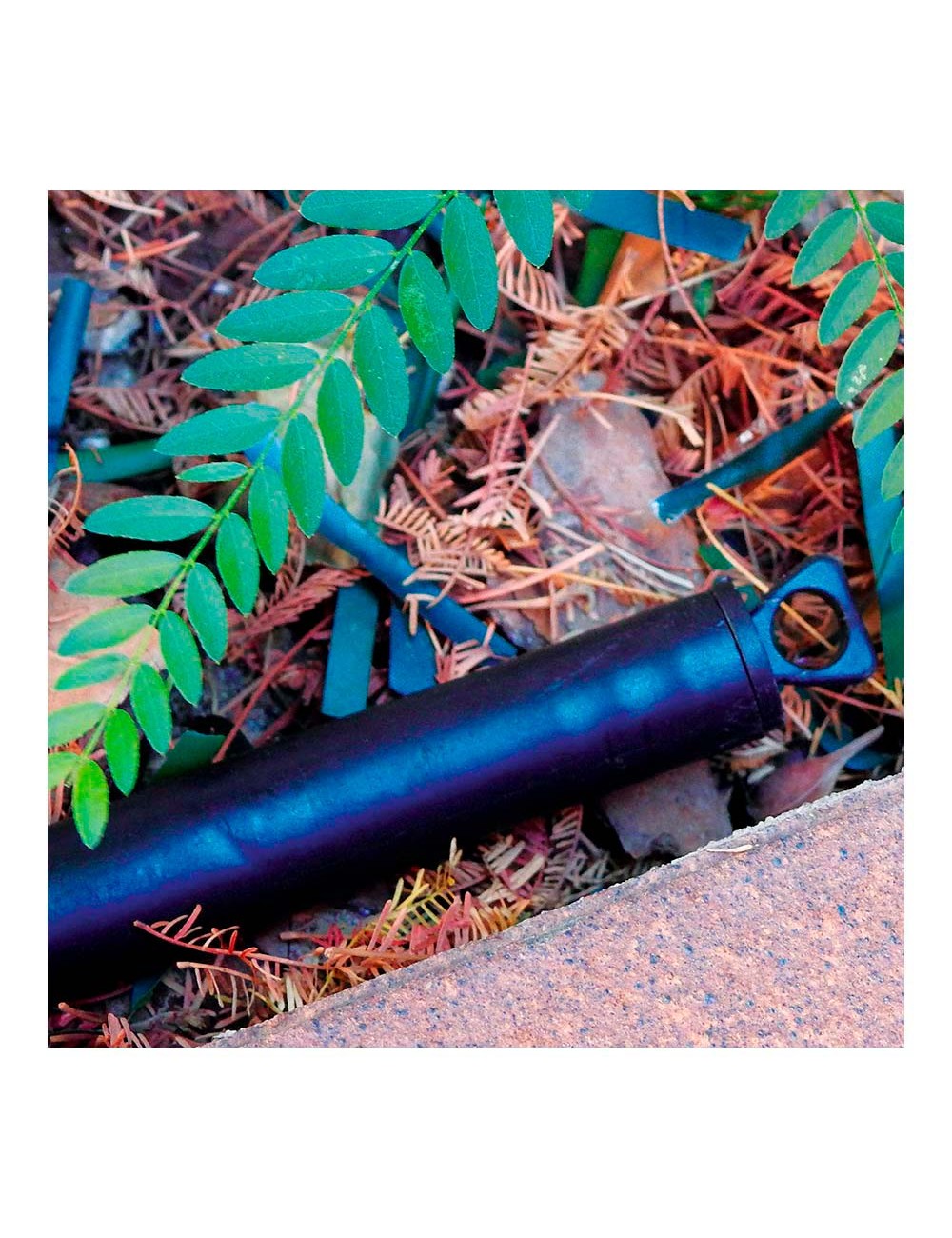 Pack de 4 tapones 16mm blue bird