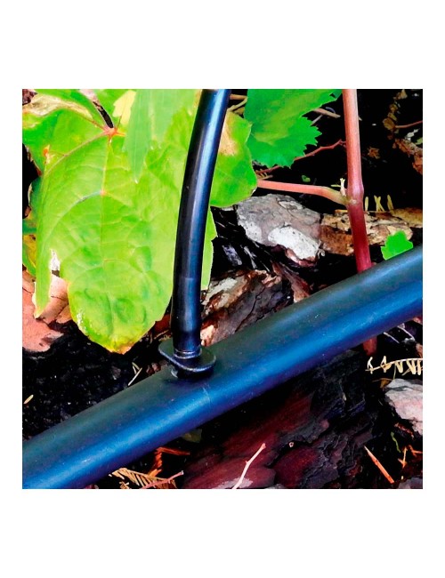 Pack con 25 uniones 4mm blue bird