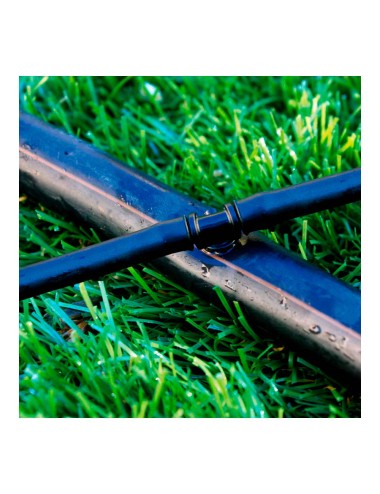 Pack con 10 "t" 4mm blue bird