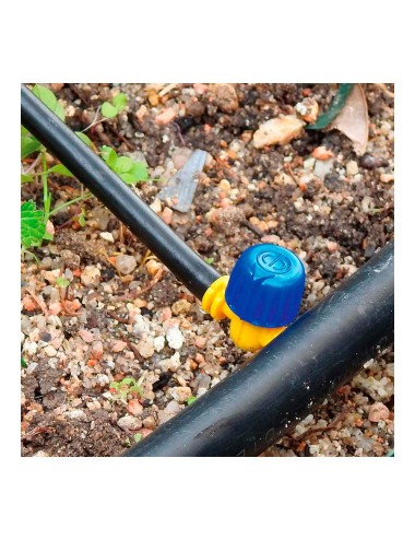 Pack con 3 valvulas de 4mm blue bird