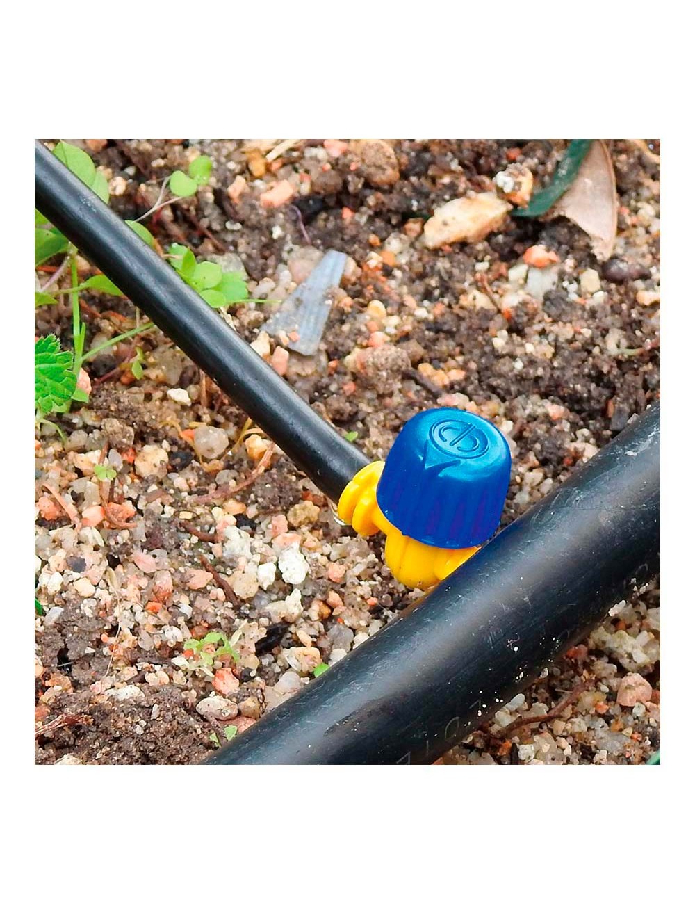 Pack con 3 valvulas de 4mm blue bird