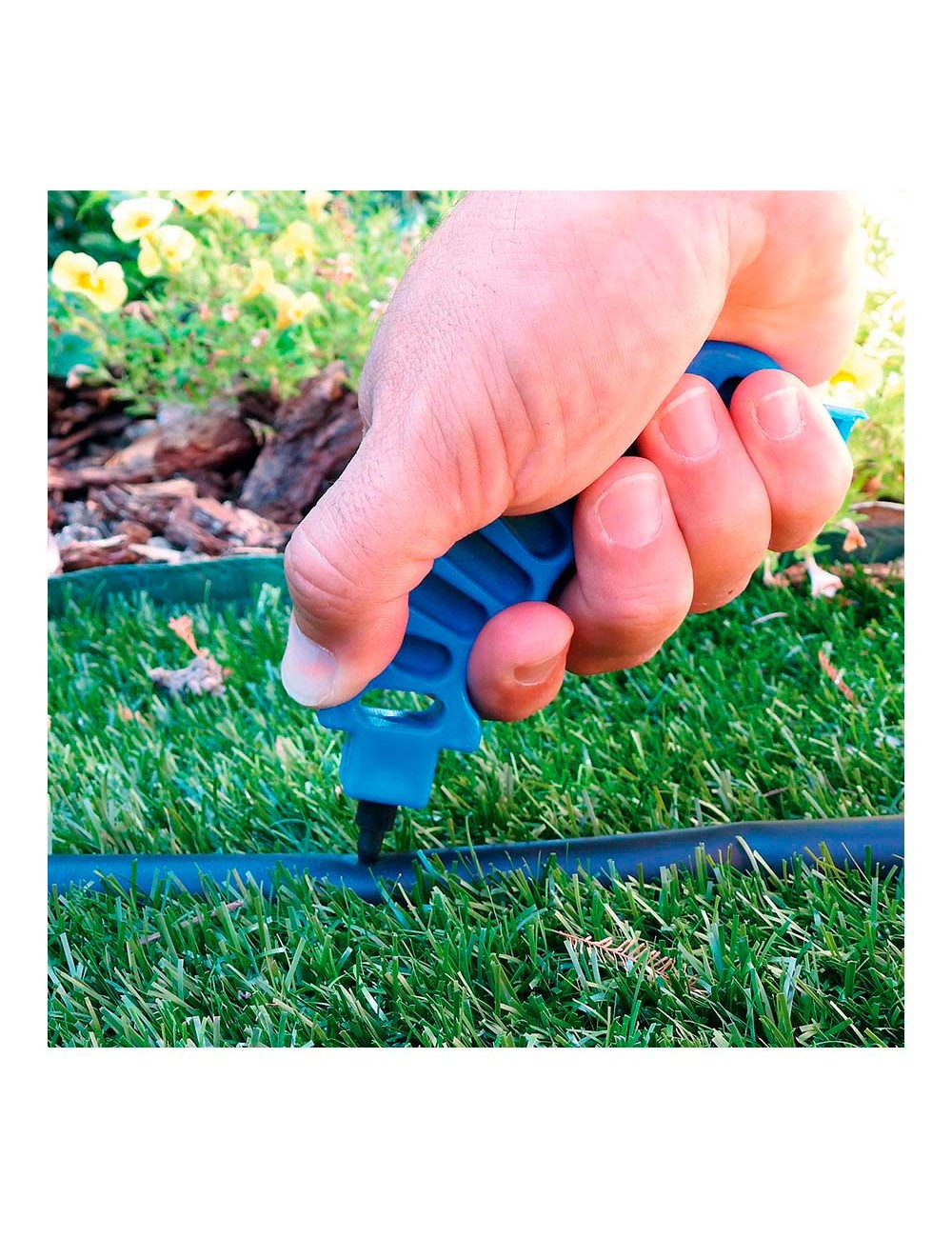 Perforador insertador blue bird