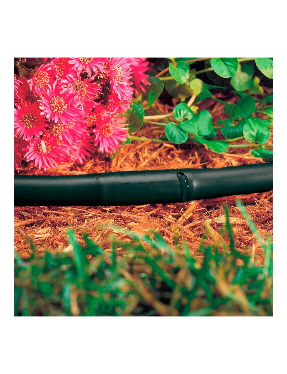 Rollo de 25m de tuberia de goteo 16mm con goteros a 35 cm 2 l/h color negro. blue bird