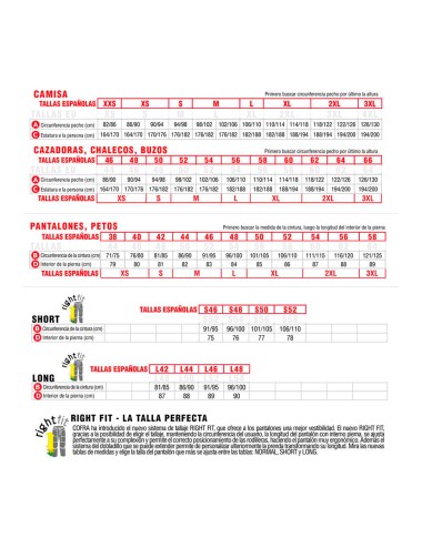 Camiseta zanzibar azulina (royal) talla l