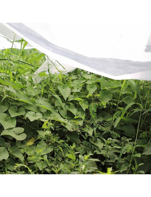 Tela de protección para cultivos 1,5 x 5 m 17gr/m