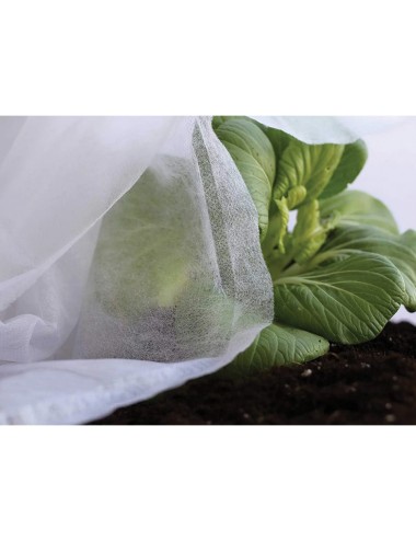 Tela de protección para cultivos 2 x 10 m 30gr/m