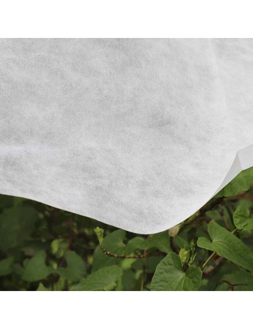 Tela de protección para cultivos 2 x 10 m 30gr/m