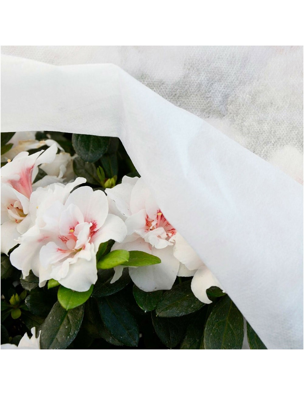 Tela de protección para cultivos 2 x 10 m 30gr/m