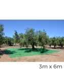 Manto para recolecta de frutos 3x6m color verde