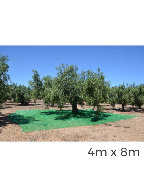 Manto para recolecta de frutos 4 x 8 m color verde