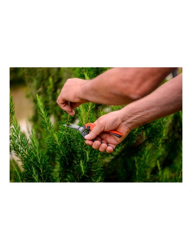 Tijera para vendimia de punta 18. longitud: 18 cm