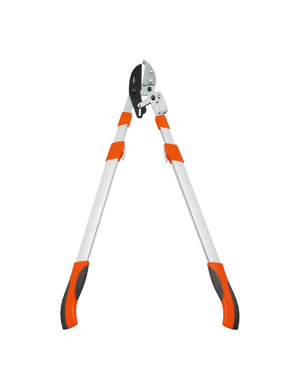 Cortarramas de carraca telescópico. longitud: 75 - 100 cm