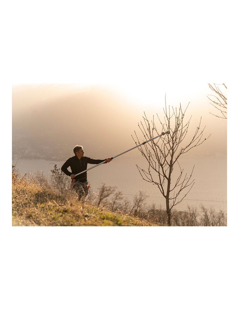 Tijera de mango largo telescópica longitud: 230 - 400 cm