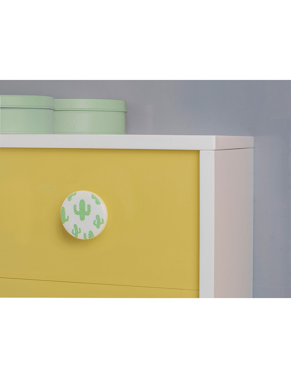 Blister con 2 pomos redondos para mueble fabricado en madera acabado decorativo mod. e261 ø38mm rei