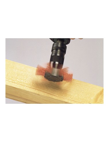 Cepillo de abanico de alambre de nylon vástago hexagonal ø100 x 20 mm