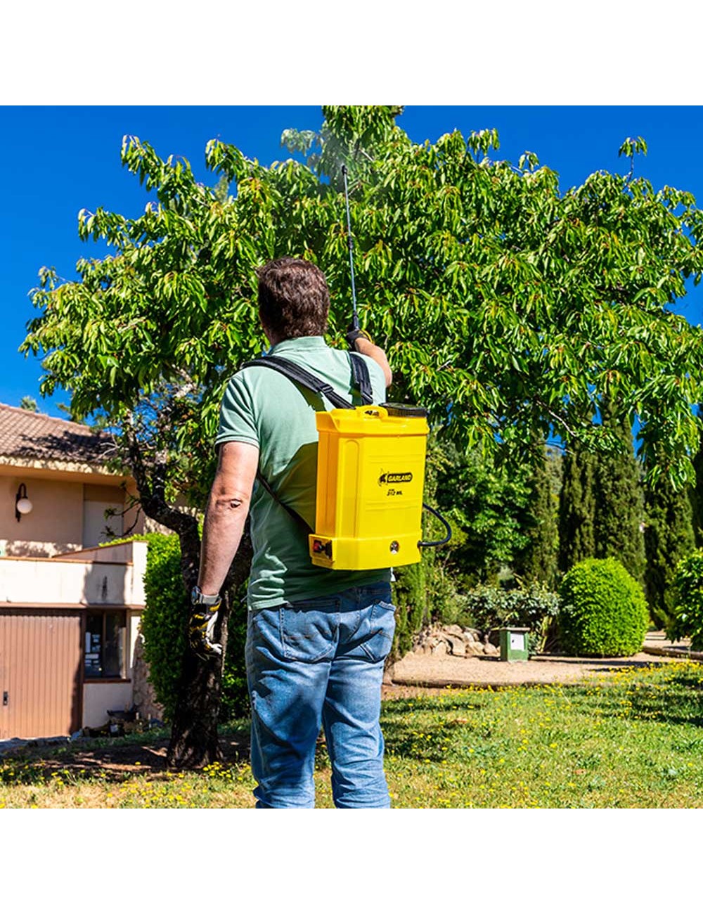 Pulverizador / fumigador a bateria fum 312 ml