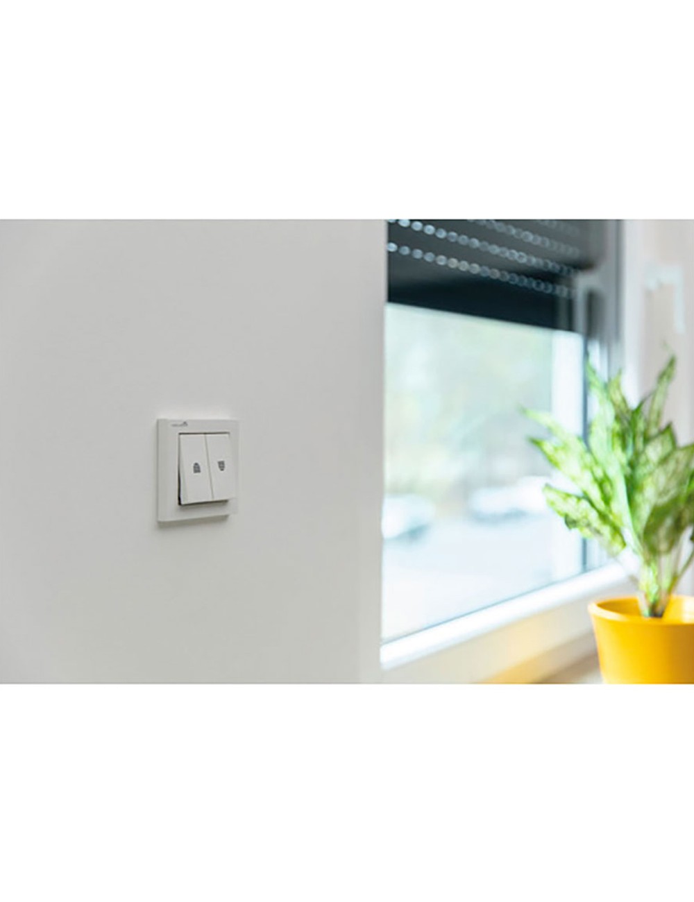 Interruptor para enrolladores 2 botones. 23005