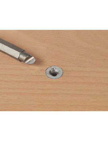 Pack de 2 puntas tornillos defectuosos con cabeza especial 2982000 wolfcraft