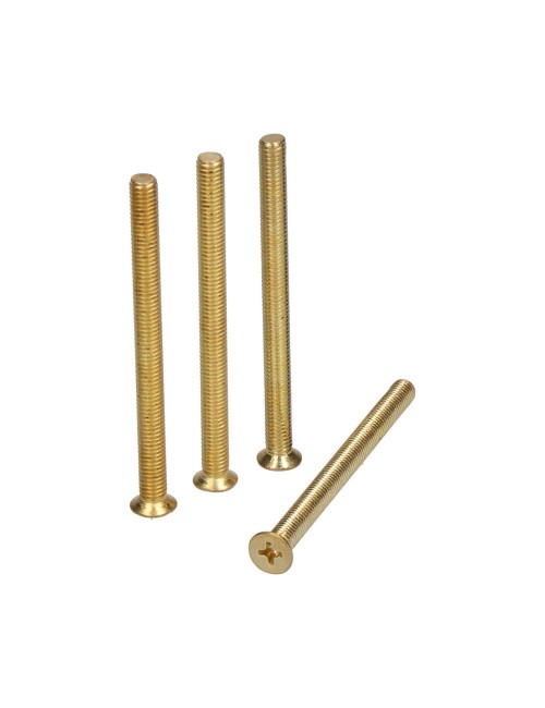 Tornillo cilindro trn16 m5 x 65 mm latonado