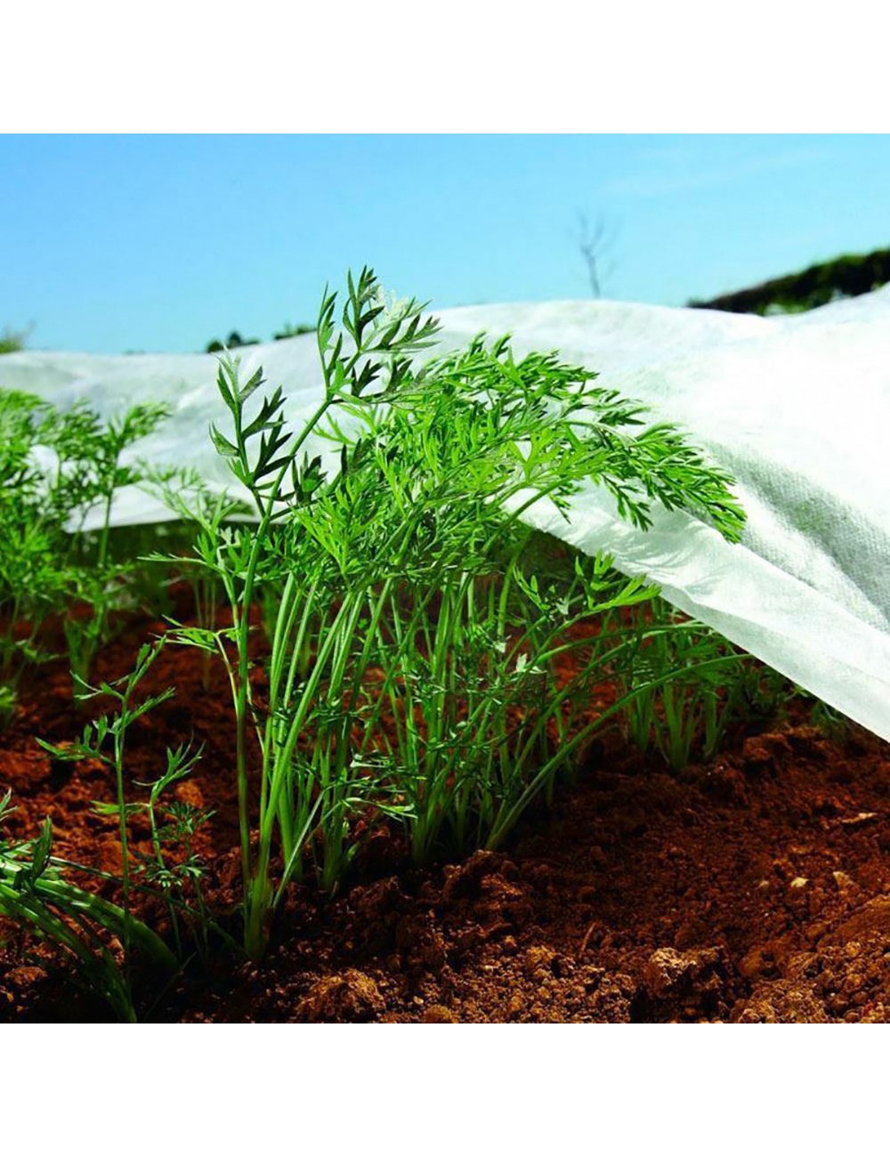 Tela de protección cultivos paño artic 4 x 5 m 17g/m