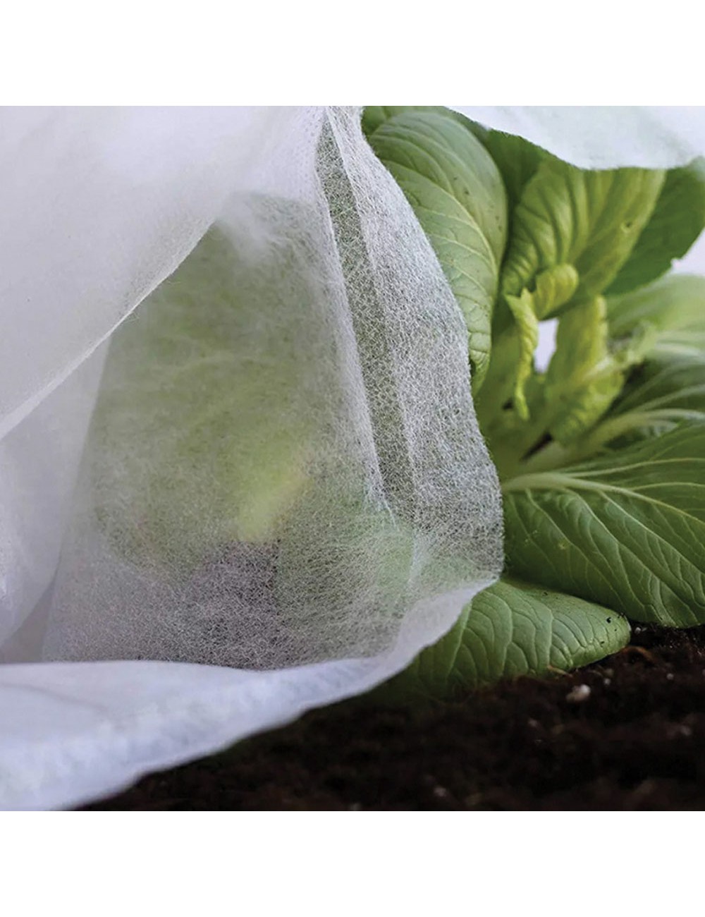 Tela de protección cultivos paño artic 4 x 10 m 17g/m