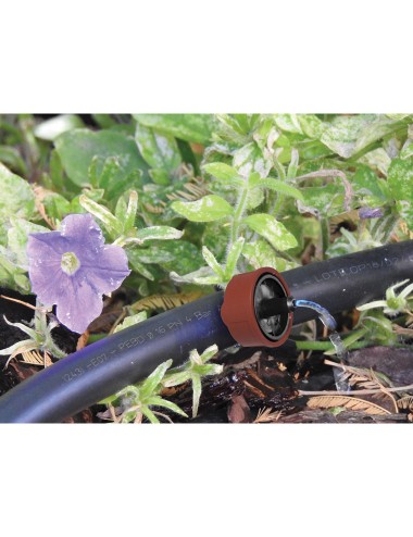 Gotero auto-clean 4 l/h. autocompensado autolimpiable bolsa 25 unidades 906425 aqua control