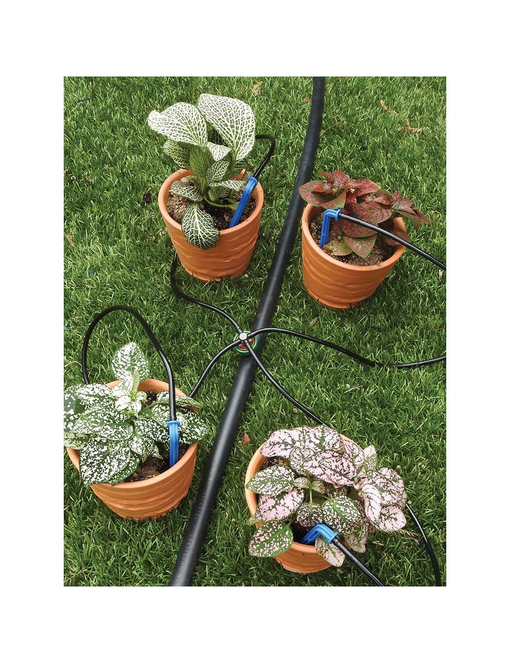 Kit stopper 8 l/h. (2 l/h por estaca) autocompensado y antidrenante con estaca 906301 aqua control