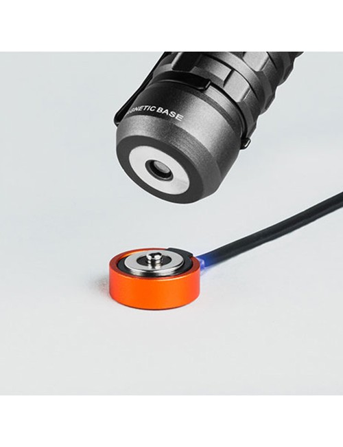 Linterna torchy 2k. compacta recargable por la compra de 6 unidades un expositor de regalo