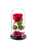 Rosa roja eterna leds cupula cristal 20 cm