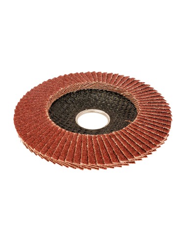 Disco láminas convexo ø115 x 22,2 mm 120 g