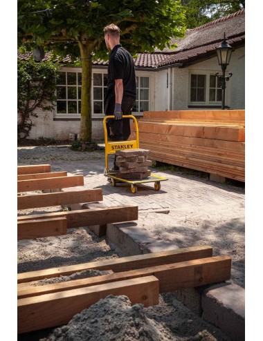 Carro de Acero  SXWTD-PC527 - 150 Kg