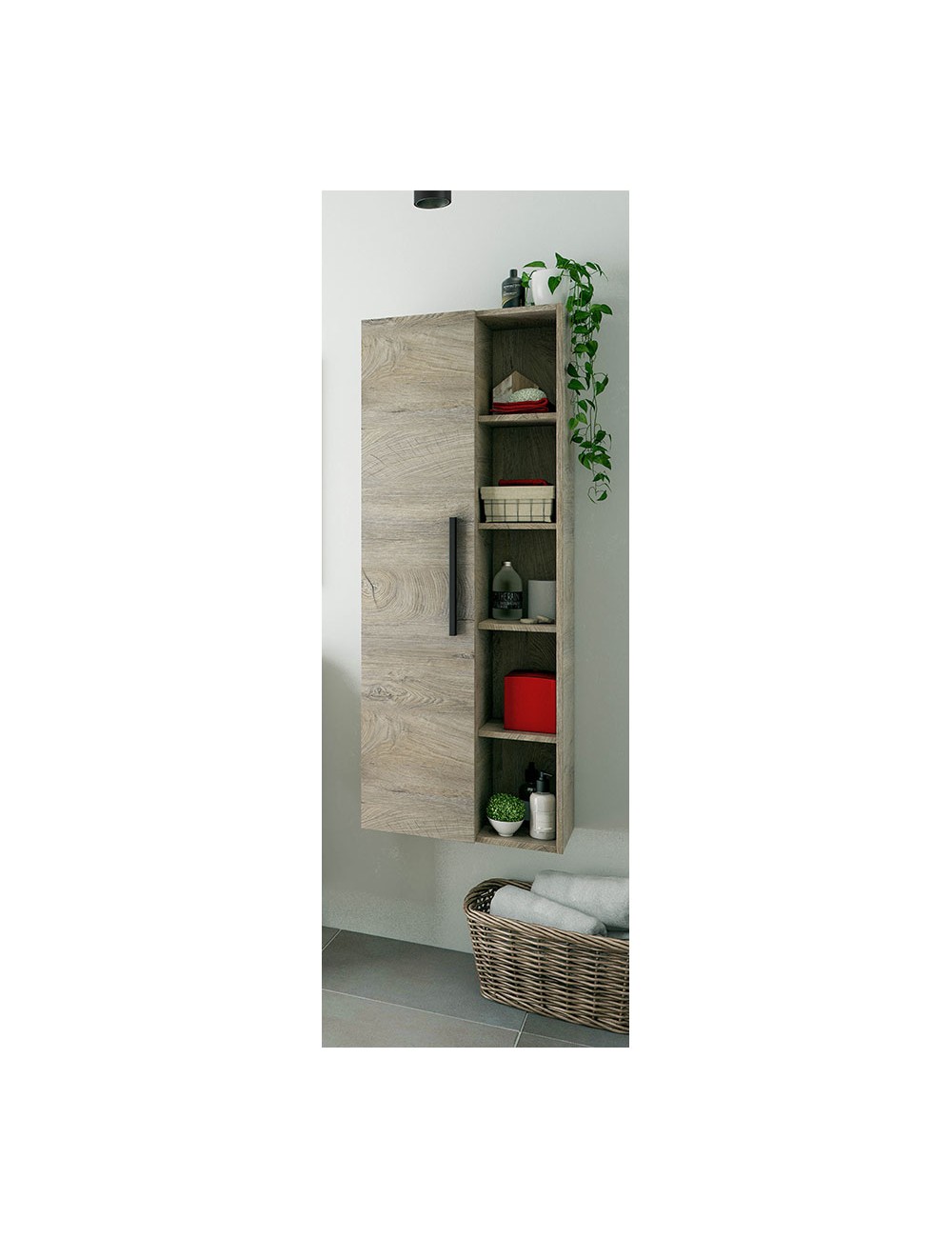 Columna colgar 51 1puerta + estantes