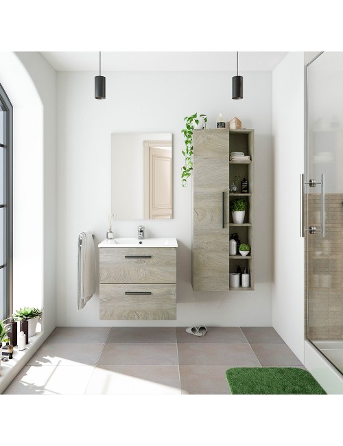 Columna colgar 51 1puerta + estantes