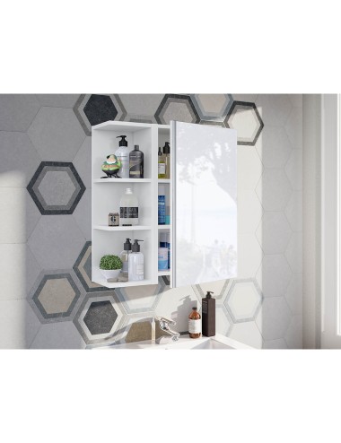 Módulo rinconero baño 20