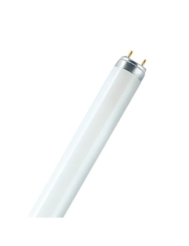 Tubo fluorescente 36 w 6500 k 3150 lm t8 120 cm g13 luz fria